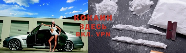 круглые Аркадак