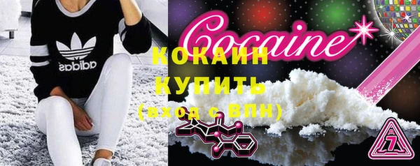 твердый Краснослободск