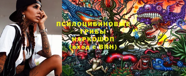 круглые Аркадак