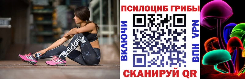 дарк нет телеграм  Карабаново  Псилоцибиновые грибы прущие грибы  где продают  