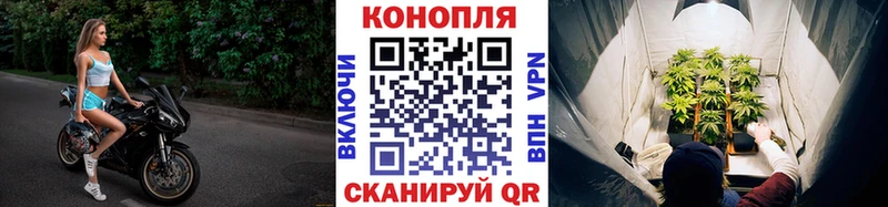 МАРИХУАНА сатива  наркотики  Карабаново 